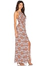 view 2 of 3 Adriana Maxi Dress in Apricot Combo