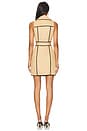 view 3 of 3 Hale Trench Mini Dress in Soft Camel