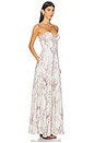 view 2 of 4 Sutton Maxi Dress in Light Sage Multi Desert Snake
