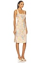 view 2 of 4 Idy Button Front Tank Dress in Multi Western Paisley