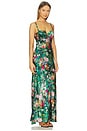 view 2 of 3 Sayla Maxi Dress in Charonda Butterfly