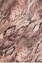 view 4 of 4 ROBE SERITA MAXI BIAS  in Multi Western Snake Print