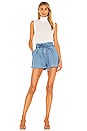 view 4 of 4 Hillary Paperbag Shorts in Mist