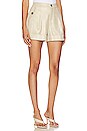 view 2 of 4 Safari Short in Pebble & Gold