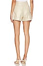view 3 of 4 Safari Short in Pebble & Gold