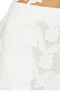 view 6 of 6 Laina Pull On Eyelet Short in Ivory
