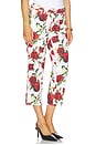 view 2 of 6 Blaine Low Rise Crop Stovepipe Jean in White & Red Romantic Rose