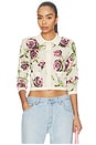 view 1 of 4 Osiris Jacquard Collared Cardigan in Ecru & Romantic Rose