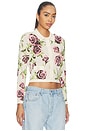 view 2 of 4 Osiris Jacquard Collared Cardigan in Ecru & Romantic Rose