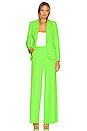 view 5 of 5 Chamberlain Blazer in Lime Green