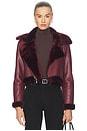 view 1 of 5 PIKE ジャケット in Wine