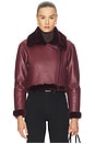view 2 of 5 PIKE ジャケット in Wine