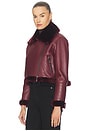 view 3 of 5 PIKE ジャケット in Wine