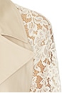 view 6 of 6 Novelle Lace Sleeve Trench in Biscuit & Ecru
