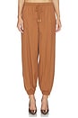 view 1 of 6 Mariko Jogger With Zipper in Fawn