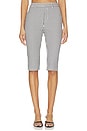 view 1 of 6 PANTALON STYLE PEDAL PUSHER LENI in Ivory & Midnight Stripe