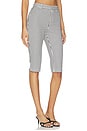 view 2 of 6 PANTALON STYLE PEDAL PUSHER LENI in Ivory & Midnight Stripe