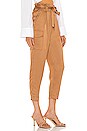 view 2 of 4 Roxy Paperbag Cargo Pant in Dark Camel