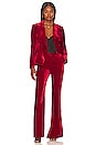 view 4 of 4 PANTALON LANE in Red Dahlia