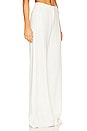 view 2 of 5 Pilar Wide Leg Pant in Ecru & Gold