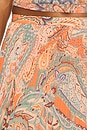 view 6 of 6 Torin Pleated Maxi Skirt in Orange & Light Blue Traditional Paisley