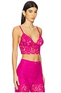 view 2 of 4 Aislin Lace Bralette Top in Light Ruby