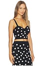 view 2 of 4 Tula Polka Dot Bra Knit Top in Black & Ecru Polka Dot