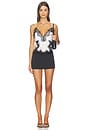 view 4 of 4 Kimber Lace Insert Cami in White & Black