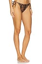 view 2 of 4 BRITT 비키니 하의 in Natural