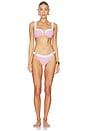 view 4 of 4 JEAN 비키니 하의 in Blush