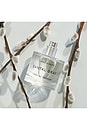 view 3 of 5 Santal Gray Eau De Parfum 1.7 Fl Oz in 