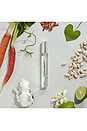 view 4 of 5 EAU DE PARFUM DE BOLSA EM SPRAY SANTAL GRAY in 