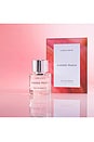 view 2 of 6 Sueded Peach Eau De Parfum 1.7 Fl Oz in 