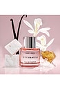 view 4 of 7 11 11 Vanilla Eau De Parfum 1.7 Fl Oz in 
