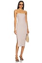view 1 of 4 Toby Tube Dress in Oak Bark