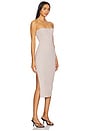 view 2 of 4 Toby Tube Dress in Oak Bark
