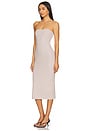view 3 of 4 Toby Tube Dress in Oak Bark