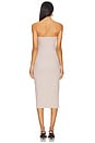 view 4 of 4 Toby Tube Dress in Oak Bark