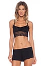 view 1 of 3 Lace Bralette in Black
