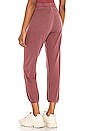 view 3 of 4 The Classic Slim Jogger in Terracotta