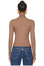 view 3 of 4 Felix Crop Turtle Neck Top in Truffle