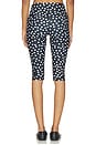 view 4 of 6 カプリパンツ in Black Polka