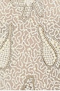 view 6 of 6 Sea Tank Camisole in Ivory