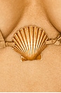 view 4 of 4 Shell Bandeau Bikini Set in Beige