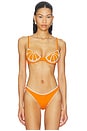 view 1 of 5 TOP BIKINI ORANGE SLICE in Orange