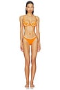 view 4 of 5 TOP BIKINI ORANGE SLICE in Orange
