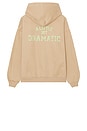 view 2 of 3 Tantrum Hoodie in Brown