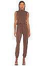 view 1 of 3 Sleeveless Turtleneck Jumpsuit in Espresso