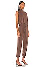 view 2 of 3 Sleeveless Turtleneck Jumpsuit in Espresso