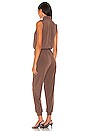 view 3 of 3 Sleeveless Turtleneck Jumpsuit in Espresso